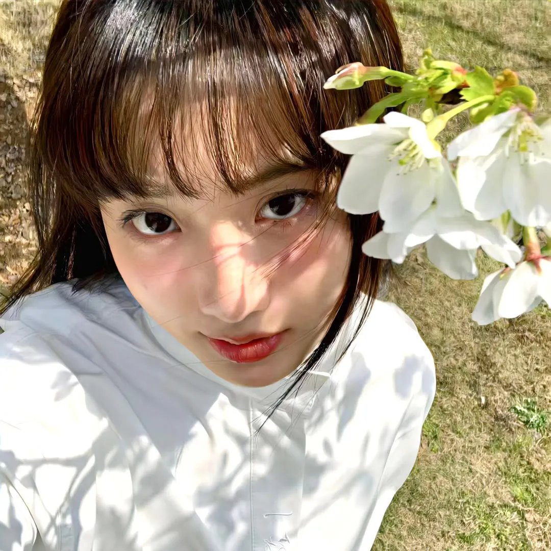 您的狗狗牌女友已上线